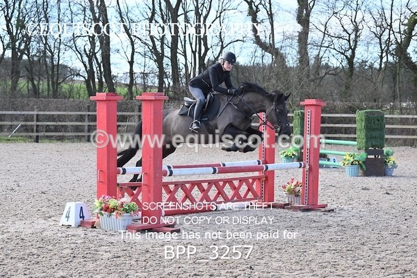 BPP_3257 - CLASS 2  Club/ Unaffiliated 80cms Open