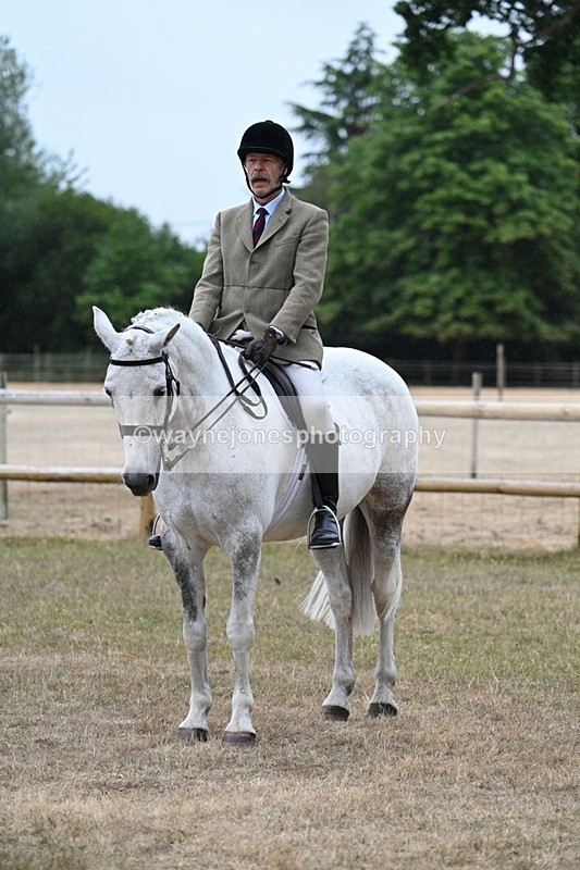 WJ7_0793 - Class 7 Riding Club Show Horse