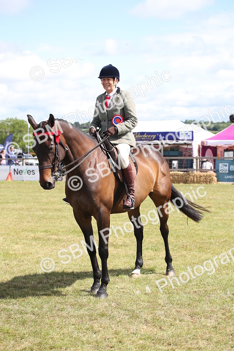 SBM_13335 - Class 95-96 - LIHS BSHA Rising Star Hack Riding Horse