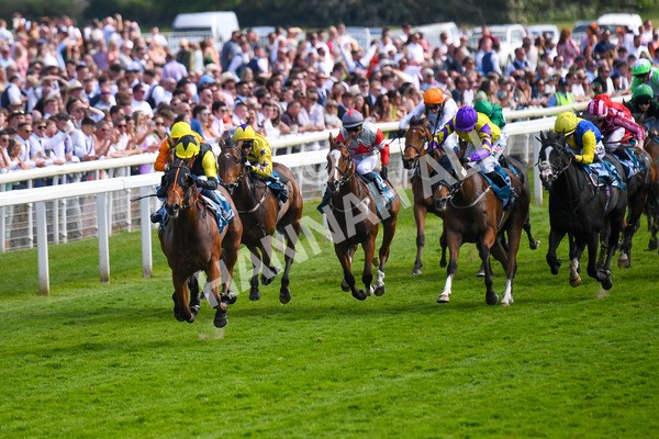 270523-Race 5-Starnberg-0755 - Race 5 3.50pm William Hill Extra Place Races Daily Handicap