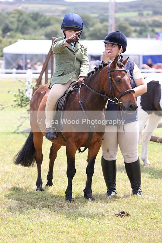 JPP_1887 - Class 18: Tiny Tots Working Hunter Pony