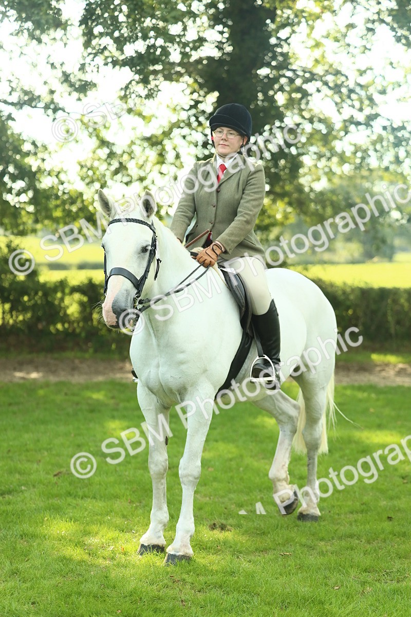 SBM_52176 - S33 - Working Hunter & Working Show Horse