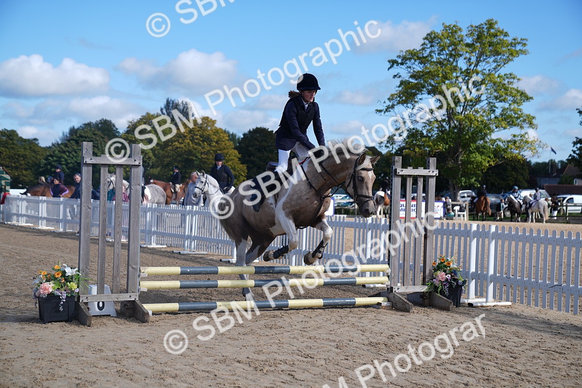 SBM_02389 - J54 Clear Round 45cm