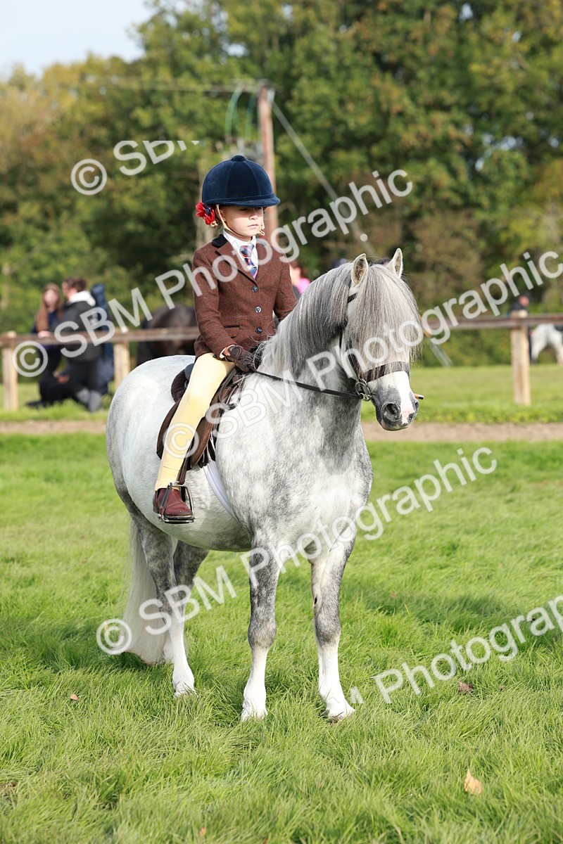 SBM_56434 - S39 - Starters In Hand Showing