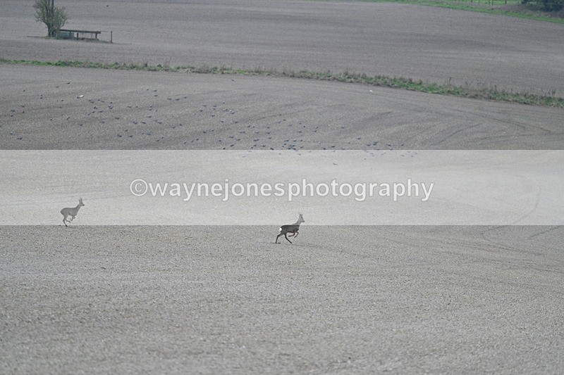 WJ7_7968 - Line 2 A camera