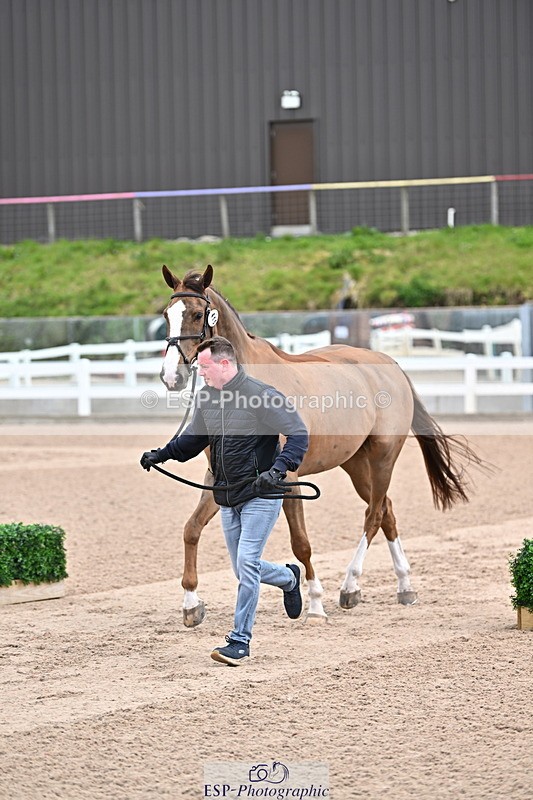 240417A-115537-00065 - 11am to 12pm