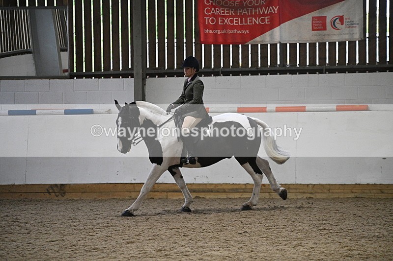 WJ7_4058 - Class 17 Ridden Cob