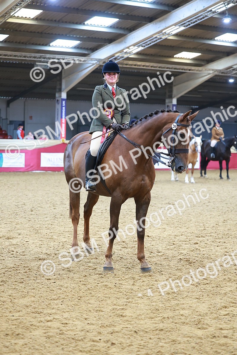 SBM_09855 - Class 102 - HOYS Veteran Qualifier - Ridden Veteran