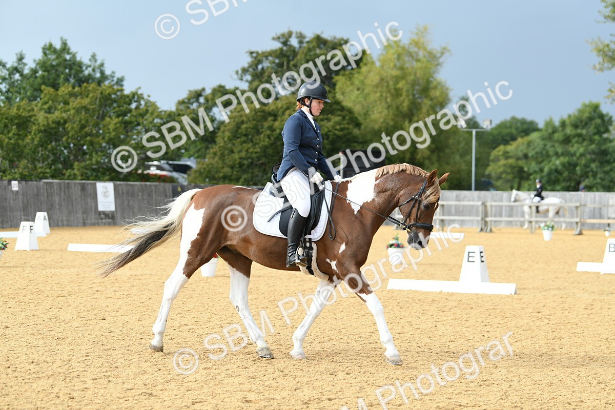 SBM_11037 - D28 Elementary Taster Elementary 42