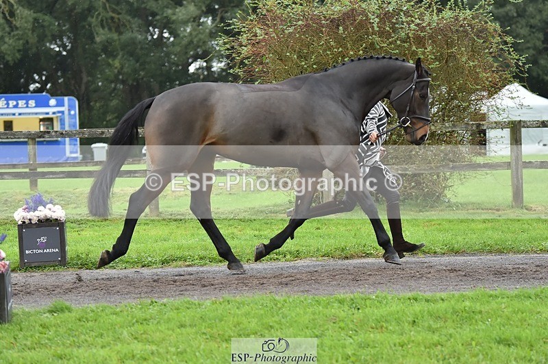 231018-124408-00482 - 073-ORNETA-Lisa.Maynard-TrotUp