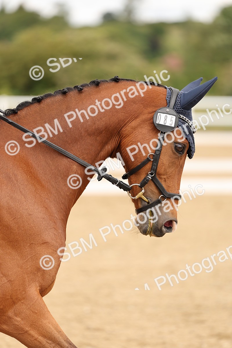 SBM_003431 - Class 6a - Novice 5 - 13.17-14.21
