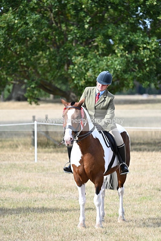 WJ7_7858 - Ridden Championship