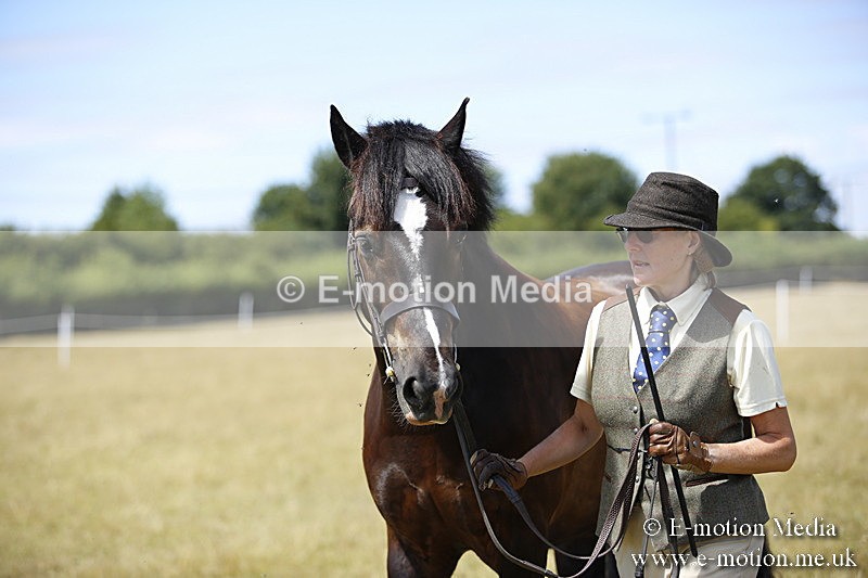 _C7A0020 - BVRC Sow 2018 Ring 2