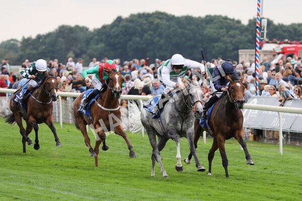 yr18082022r4-29 - Race 4 3.35pm Darley Yorkshire Oaks (British Champions Series Race)
