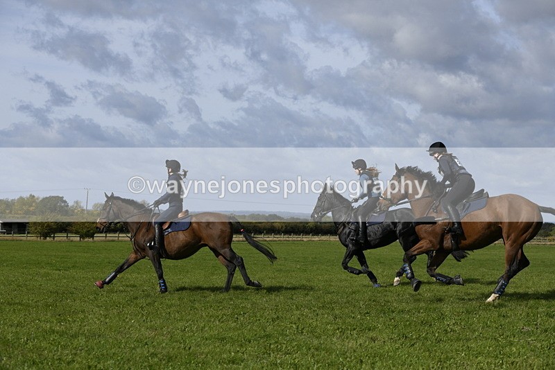 _DSC6822 - Time 11:23 to 12:05