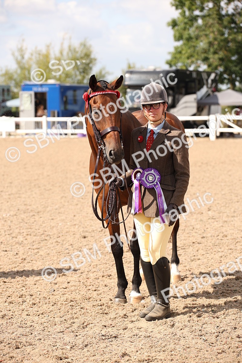 SBM_03458 - Class 18 Handsomest Gelding (IH or Ridden)