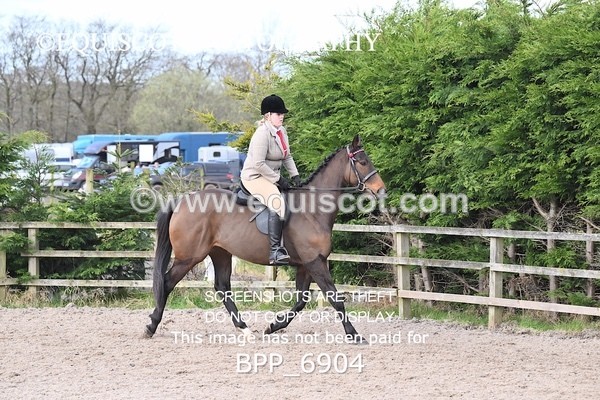 BPP_6904 - RING 1  (RIDDEN HORSES / IN HAND / VETERAN ETC)