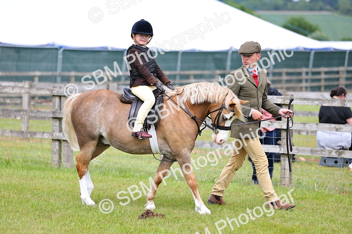 SBM_08056 - Class 42-43 - LIHS BSPS Heritage Working Sports Pony