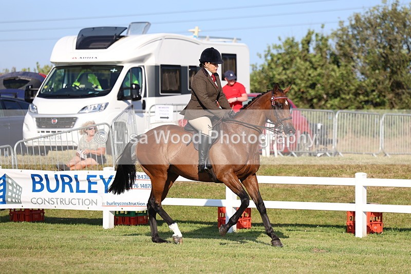 3E7A4938 - Class 1: Rising Star Small Hack/Riding Horses