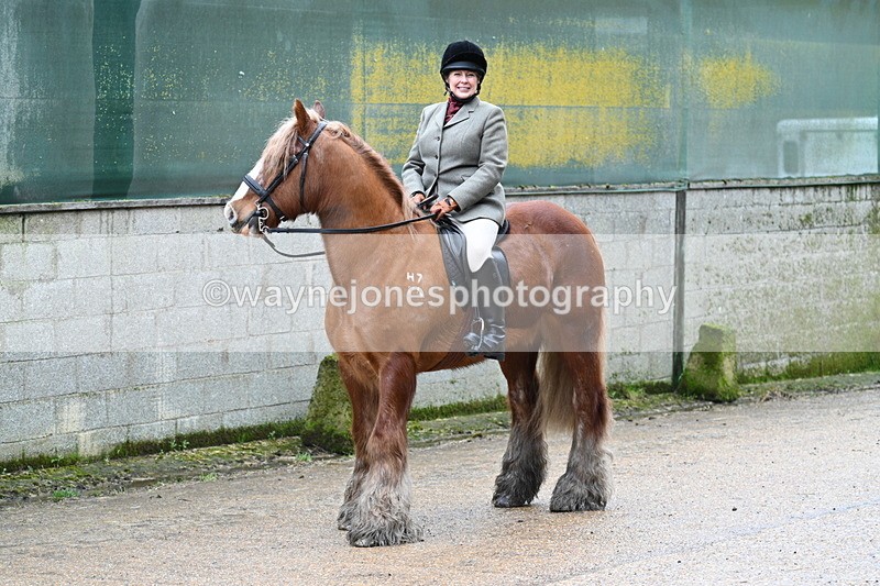 WJ7_8706 - Berks & Bucks - Rowles Farm 15-02-26