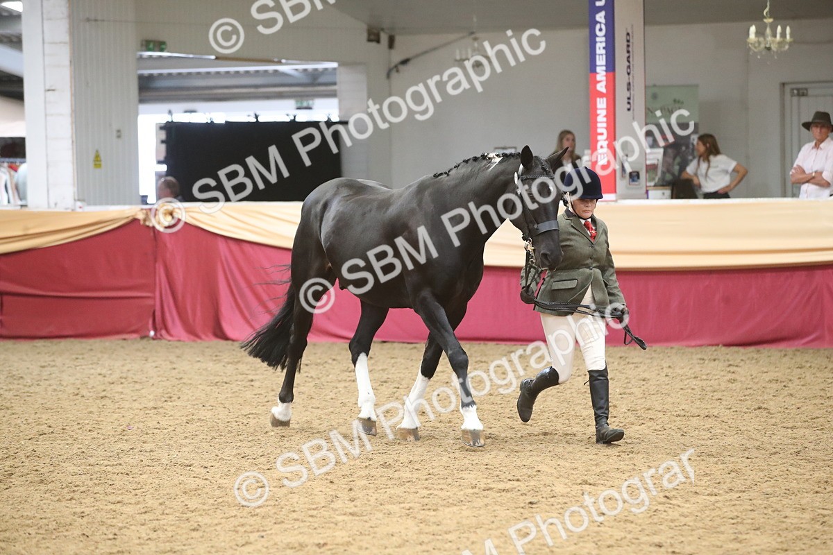 SBM_05686 - Class 9R - Regional IH Pre-Vet