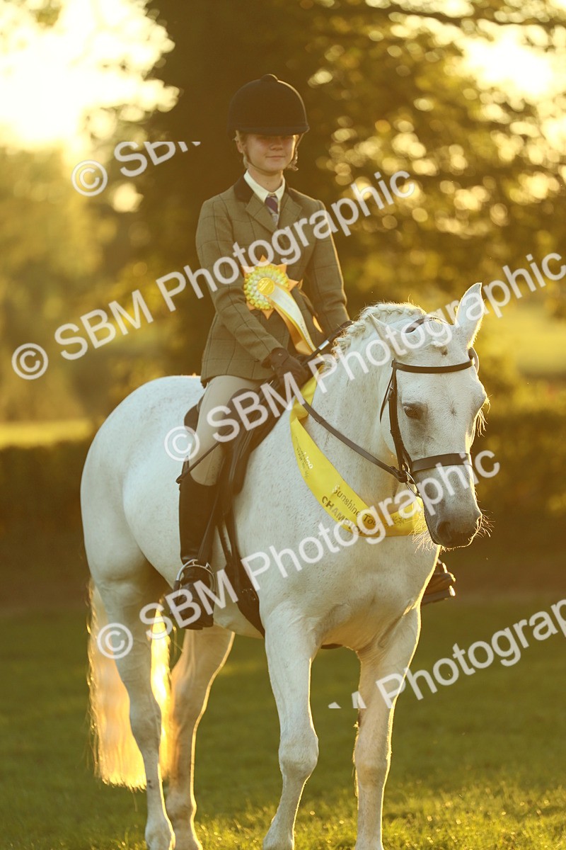 SBM_56646 - Fun & Versatile Supreme Championship