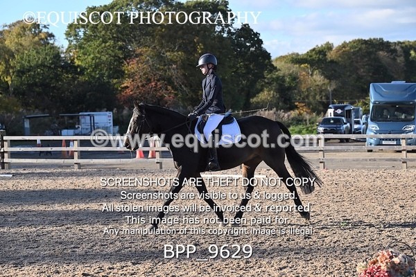 BPP_9629 - SHORT ARENA