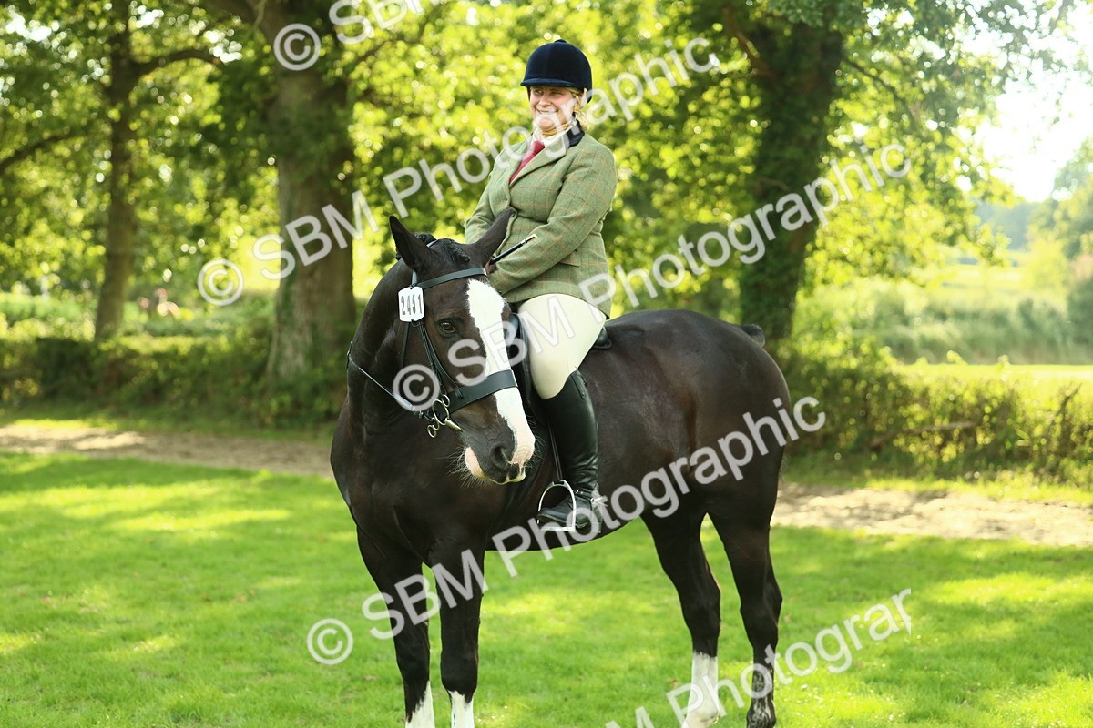 SBM_52198 - S33 - Working Hunter & Working Show Horse