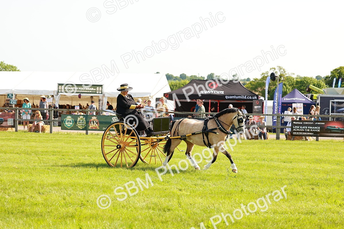 SBM_02577 - Class 2-4 - HOYS Private Driving