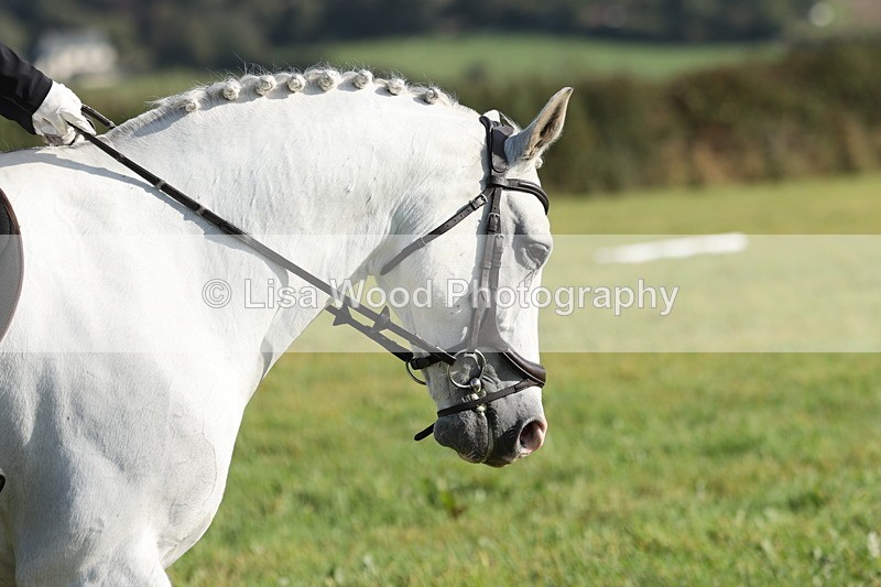 JPP_7853 - Class 2A: Trekenning Open: Dressage