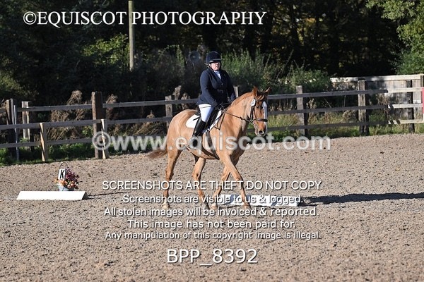 BPP_8392 - LONG ARENA