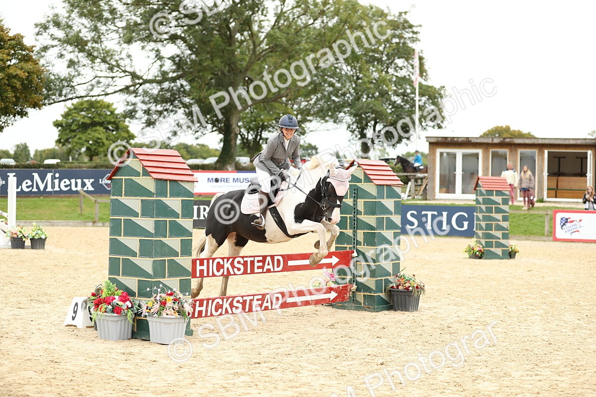 SBM_63084 - Supreme championship 75cm 80cm