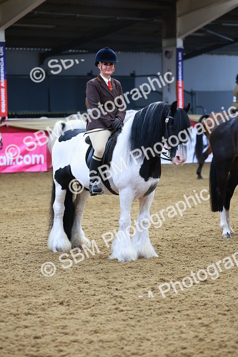 SBM_09827 - Class 102 - HOYS Veteran Qualifier - Ridden Veteran
