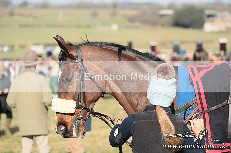 PtP 010325 264 - Beaufort Races Didmarton 01/03/25