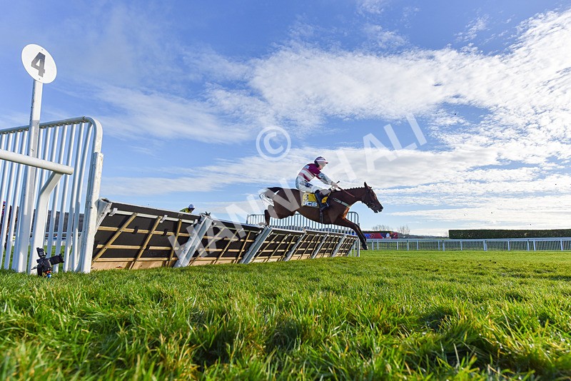 141224-Race 1-Moutarde-9250 - Race 1