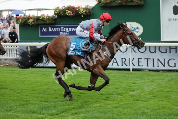 yr04092022r1-31 - Race 1 1.45pm IRE Incentive, It Pays To Buy Irish EBF Novice Stakes