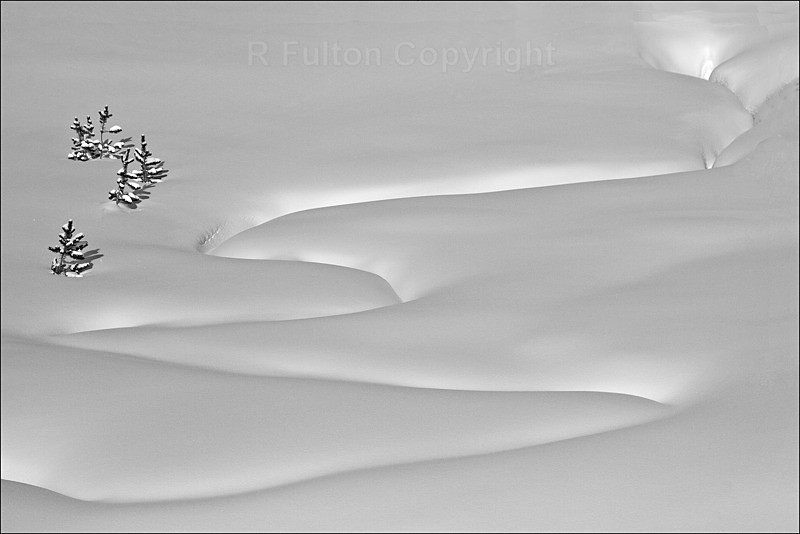 Snow Pattern - Yellowstone
