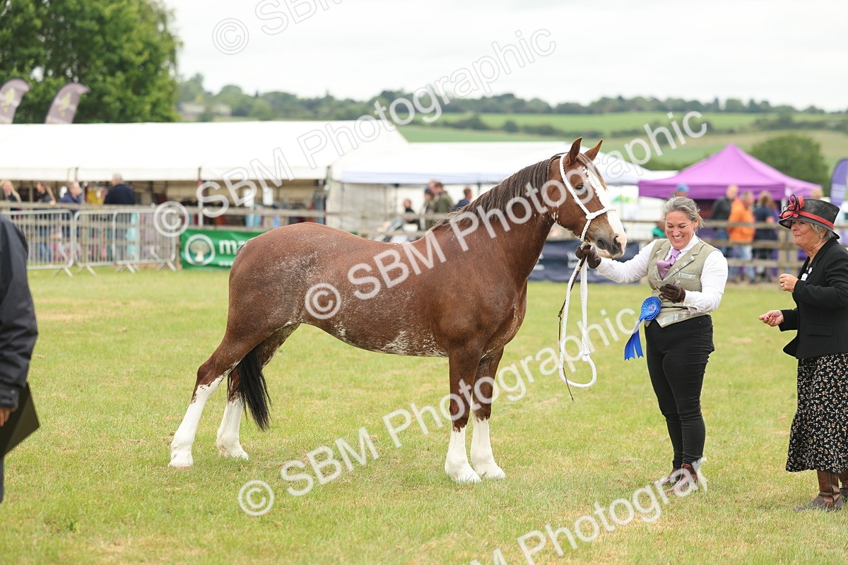 SBM_02414 - Class 50-57 - M&M Welsh Pony In Hand