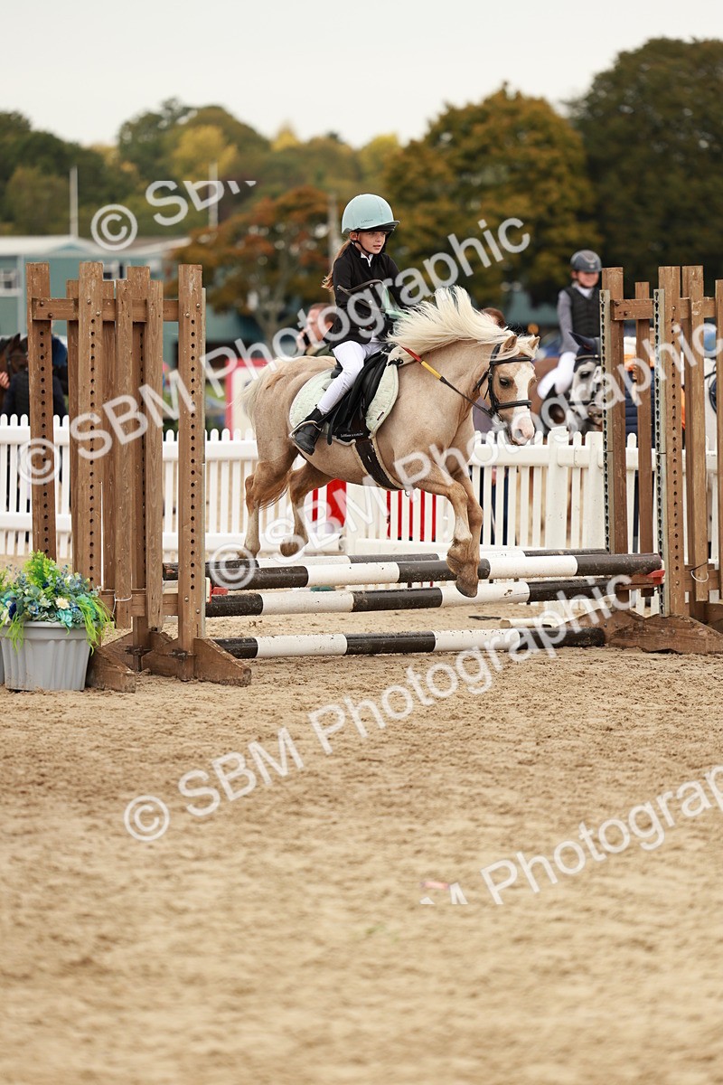 SBM_57916 - J11 - Junior Pony 50cm Championship
