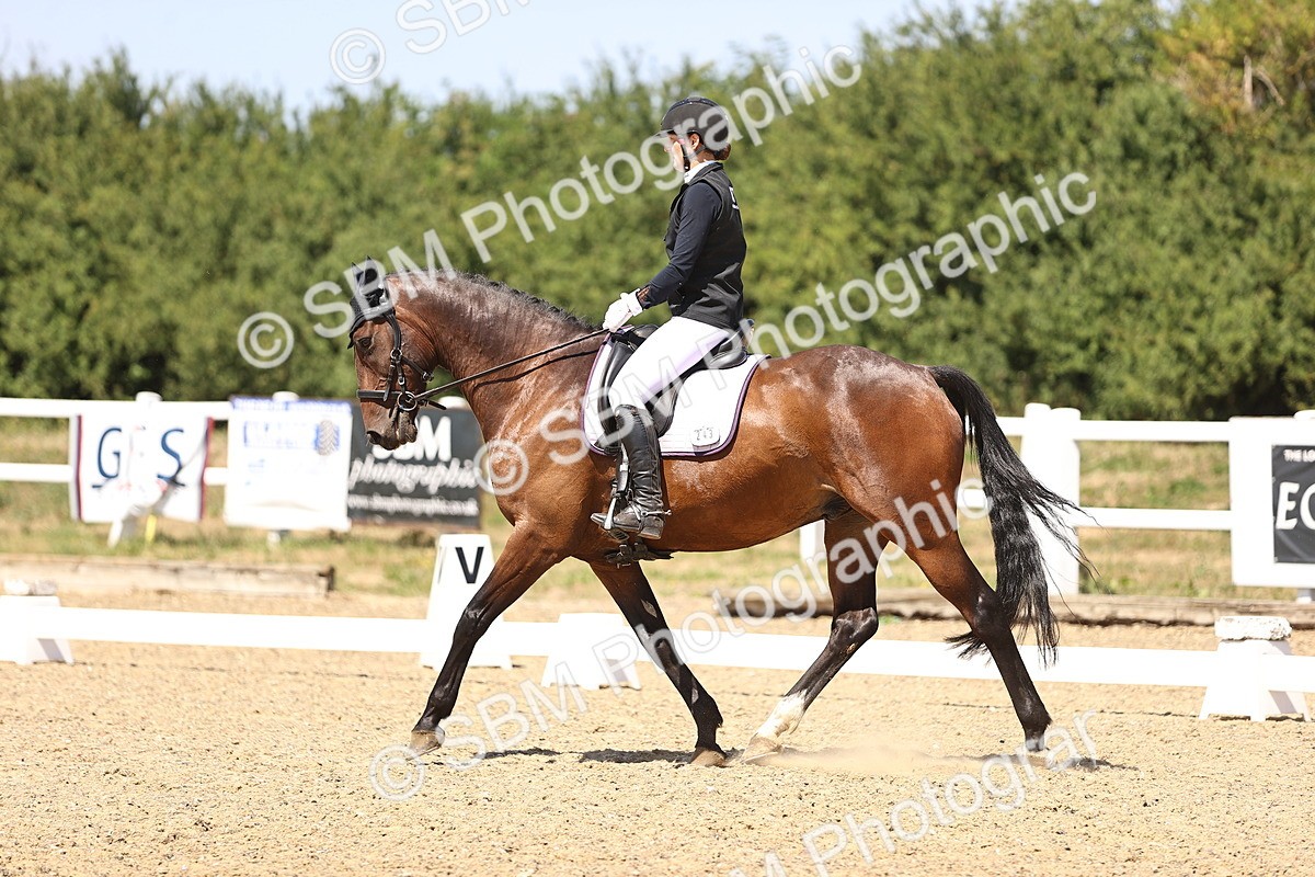 SBM_012110 - Novice 5 - 13.05-14.36