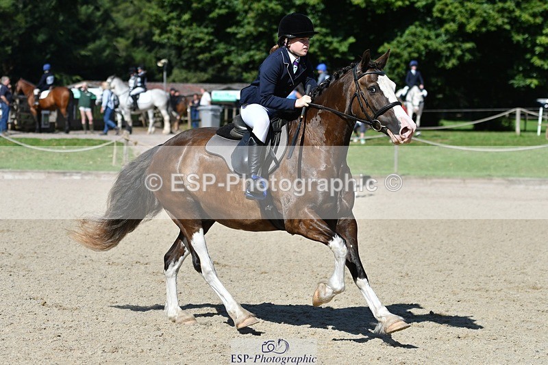 240728-101236-02172 - PC70, Round 2