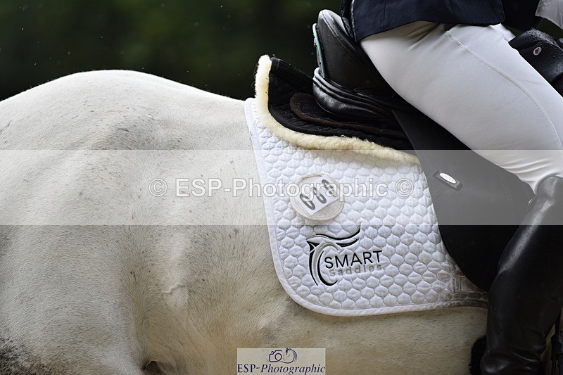 140110A-002408-10602 - 080-Polly.Vogel-Loughamore.Lady