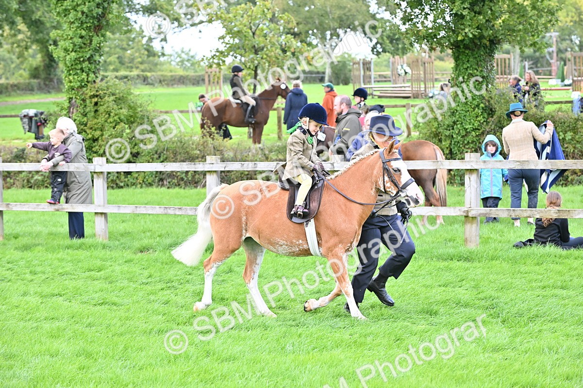 SBM_38342 - S19 - Lead Rein Show & Show Hunter Pony