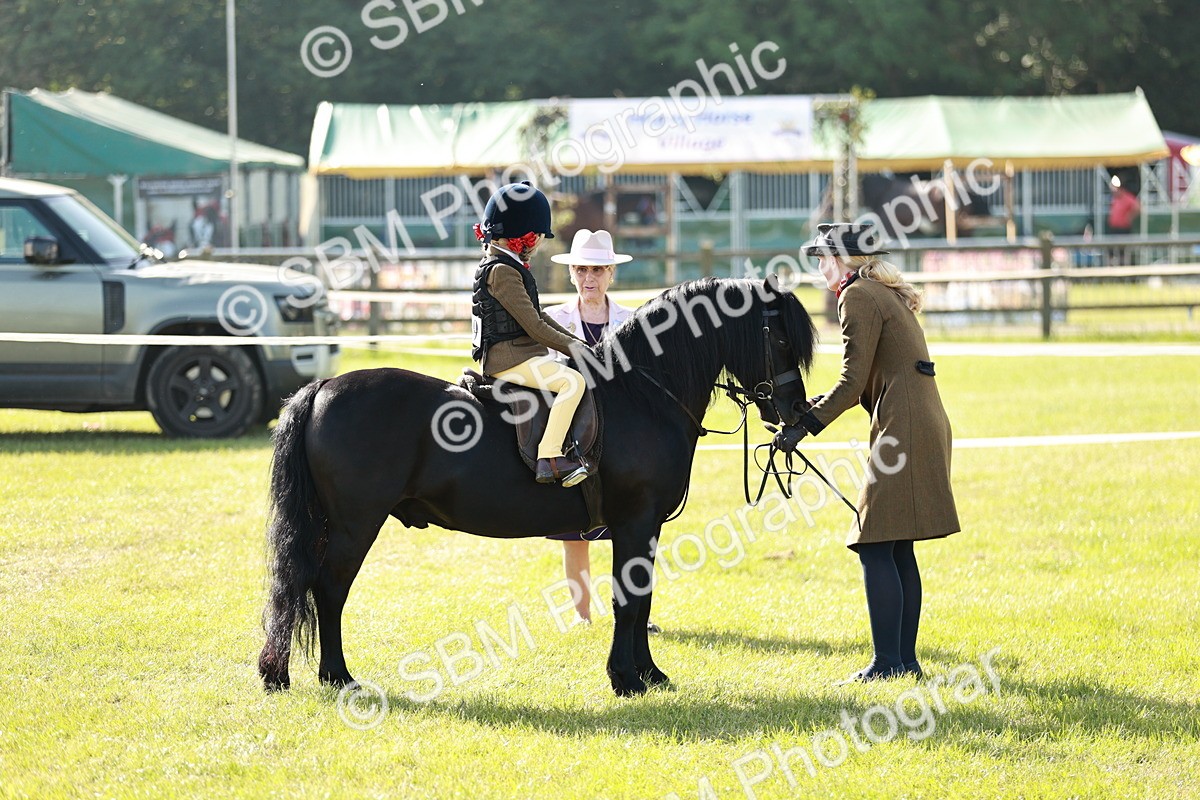 SBM_11263 - Class 106-107 - BSPS LIHS Working Sports Pony