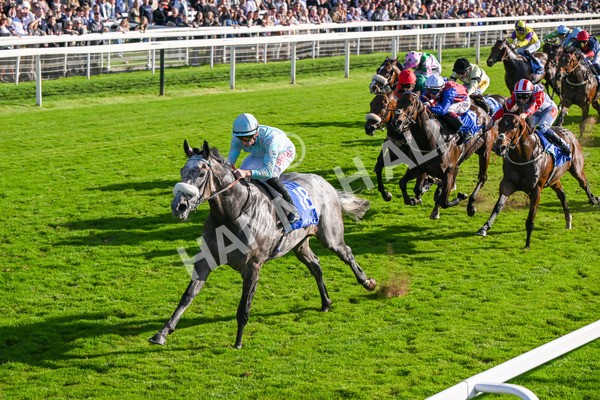 111025-Race 4-Binhareer-8836 - Race 4 Coral Sprint Trophy Handicap at York