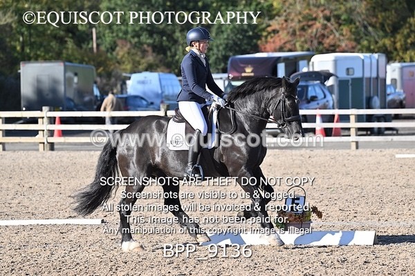 BPP_9136 - LONG ARENA
