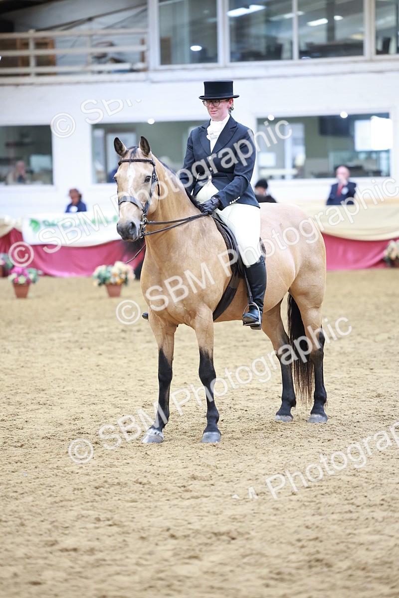 SBM_18790 - Class 952 - M&M Ridden Supreme Final