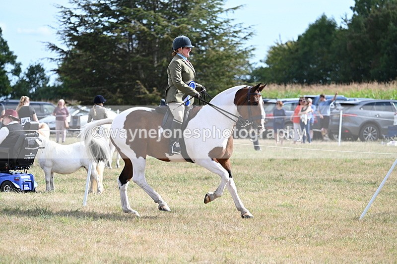 WJ7_7482 - Class 14 Ridden Coloured
