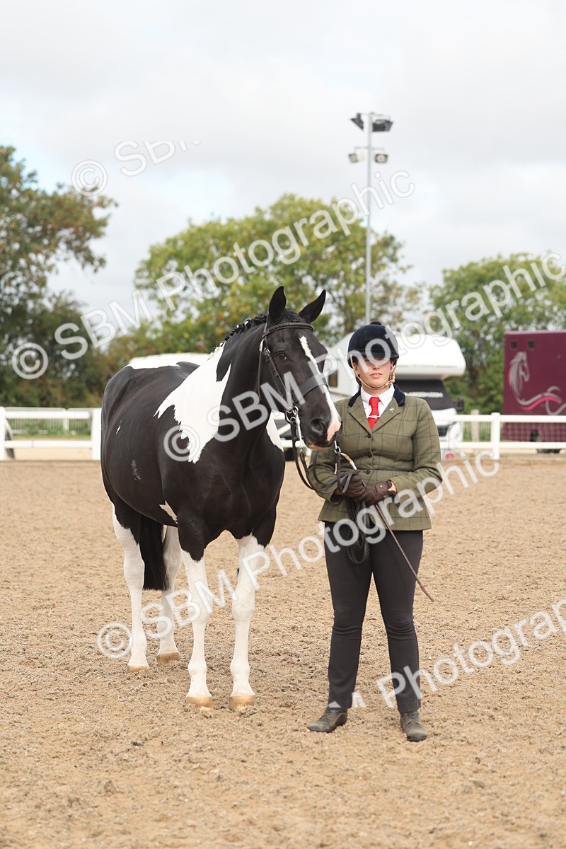 SBM_02096 - Class 15 - IH Coloured