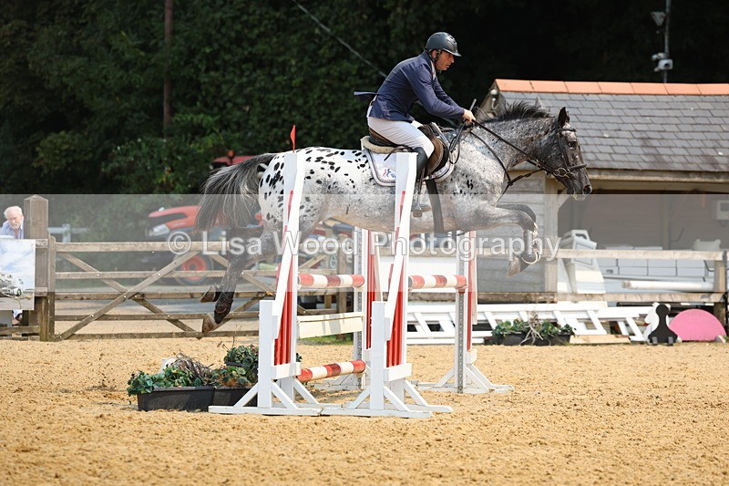 3E7A1679 - Class 4: Senior British Novice/90cm open